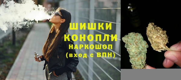 дживик Валдай