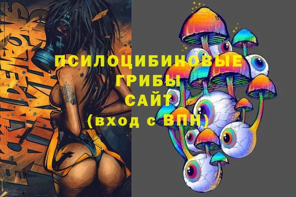 винт Армянск