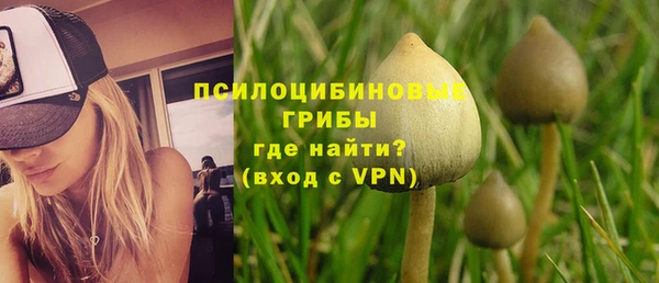 винт Армянск