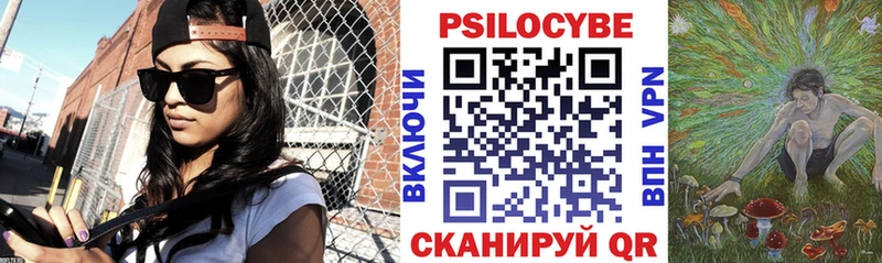 Галлюциногенные грибы GOLDEN TEACHER  где найти наркотики  Кашин 